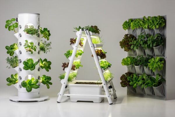 Vertical Gardening Systems for Indoor Hydroponics