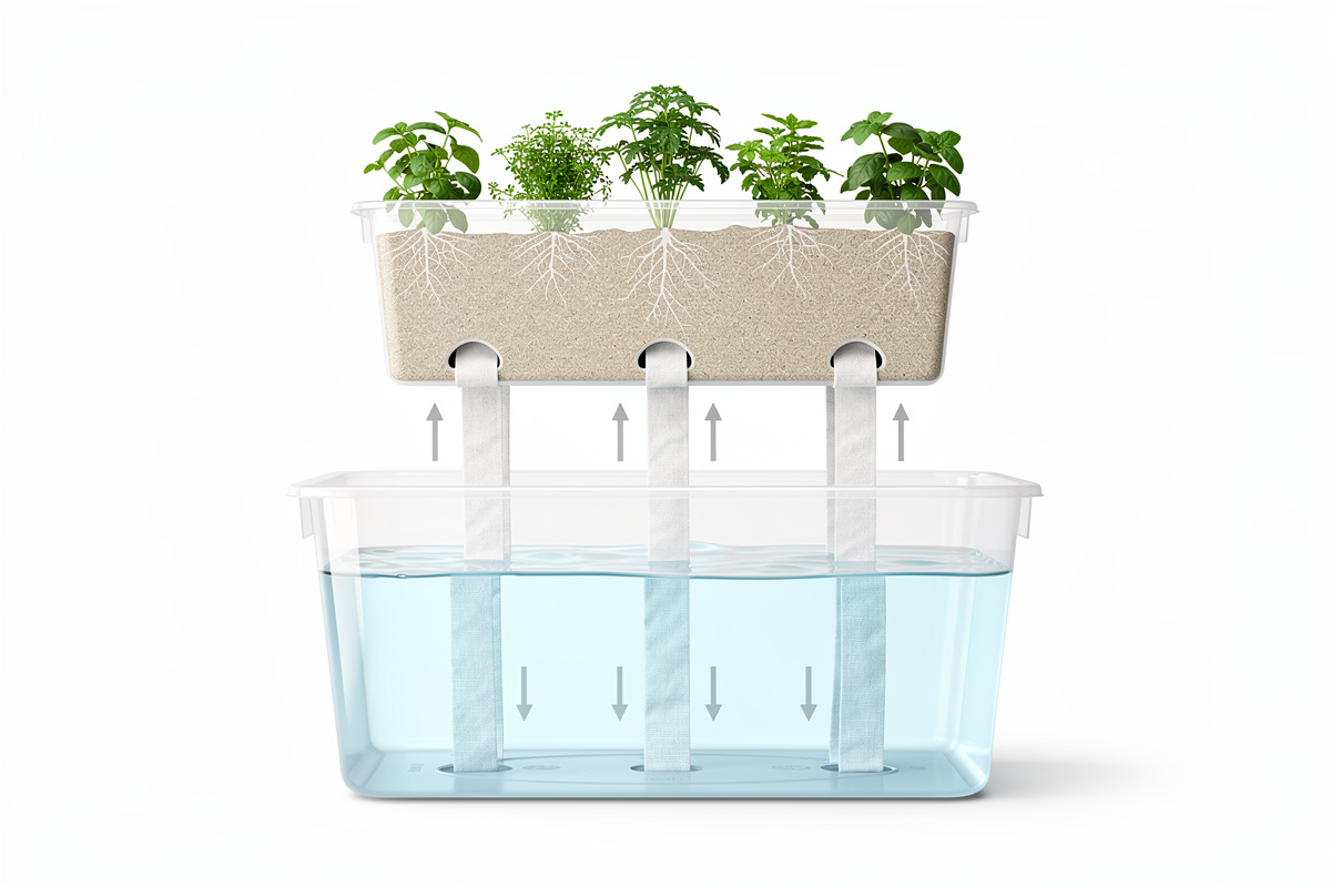 Simple wick hydroponic system setup with reservoir and growing container