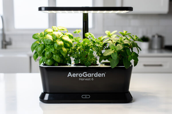 AeroGarden Harvest 2.0 Review: 6-Pod Setup Honest Take