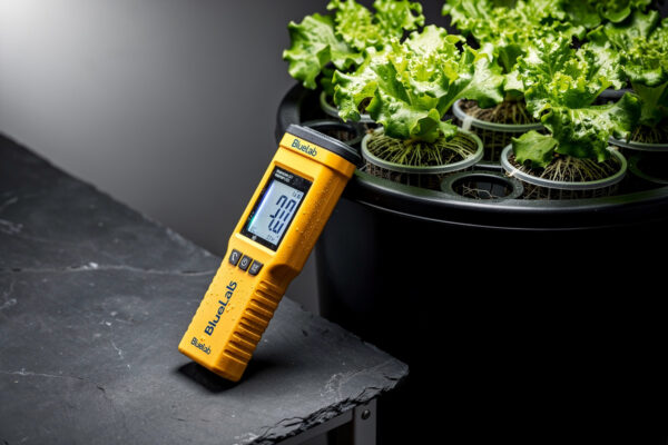 Bluelab Truncheon: Complete Buyer’s Guide for Hydro Growers