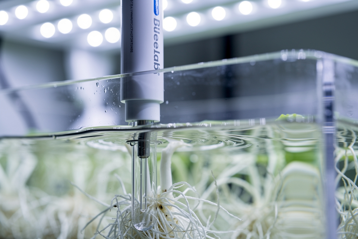 Continuous immersion pH probe in a hydroponic lettuce reservoir