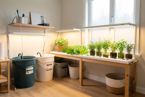 DIY Hydroponic Systems Guide: 7 Builds You Can Make Yourself