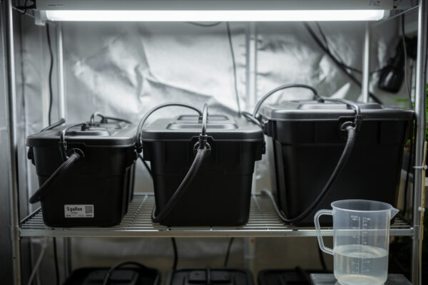 Hydroponic Reservoir Size: How Big Should It Be?