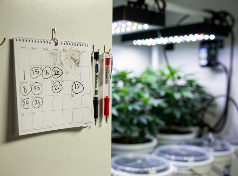 Grow room calendar with reservoir maintenance dates marked, EC and pH pens hanging beside it