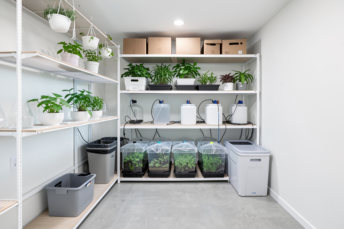 Biosecurity practices for hydroponic rooms