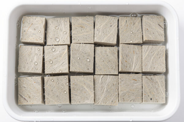 Starting Seeds in Rockwool Cubes for Hydroponics