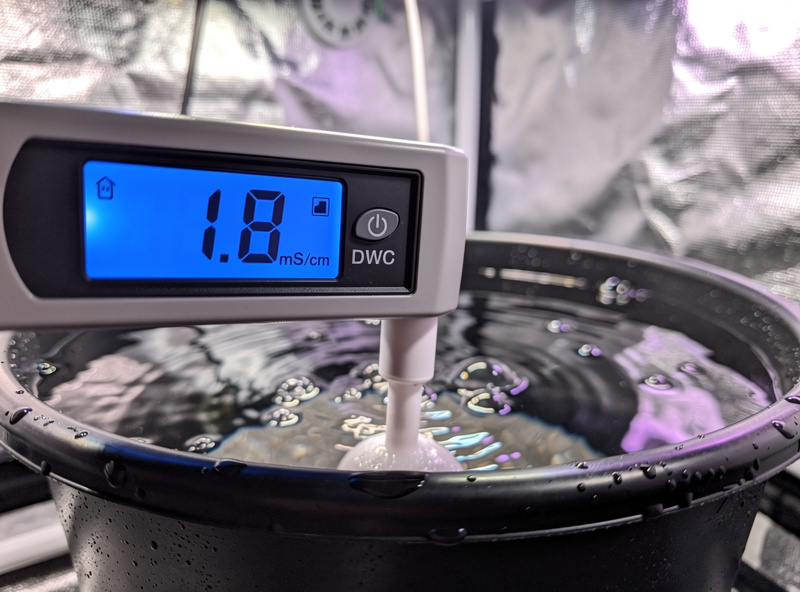 Digital EC meter probe submerged in hydroponic nutrient reservoir, blue backlit display showing 1.8 mS/cm, nutrient solution visible, indoor garden setting
