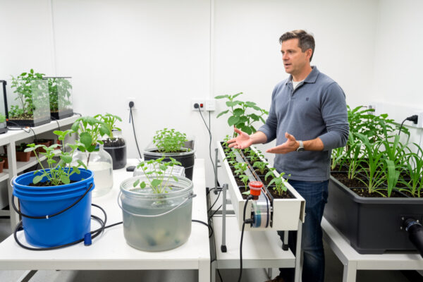 How to Choose a Hydroponic System: A Grower-to-Method Decision Guide