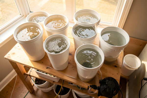 How Many LPH of Air per Gallon? My DWC Aeration Sizing Rule