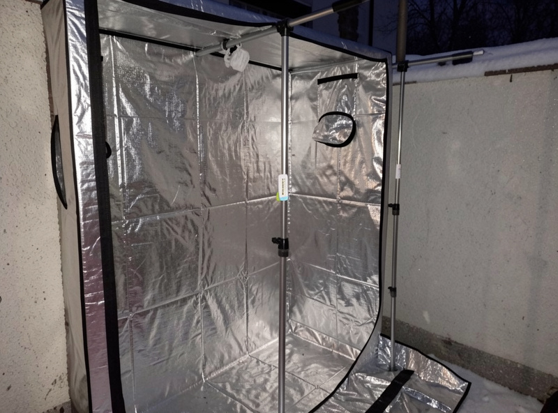 Insulated grow tent against a cold exterior wall with a foam panel and reflective bubble insulation, thermometer clipped to the pole