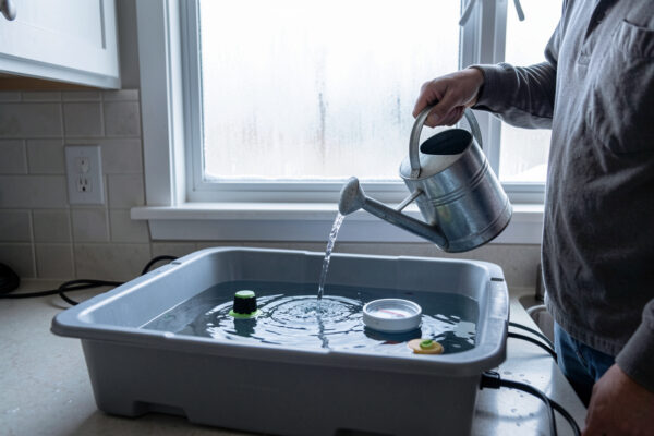 Cold Tap Water and Your Res: Why I Temper It First