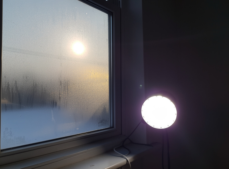 Frosted window with weak low winter sun beside a bright full-spectrum LED grow light indoors